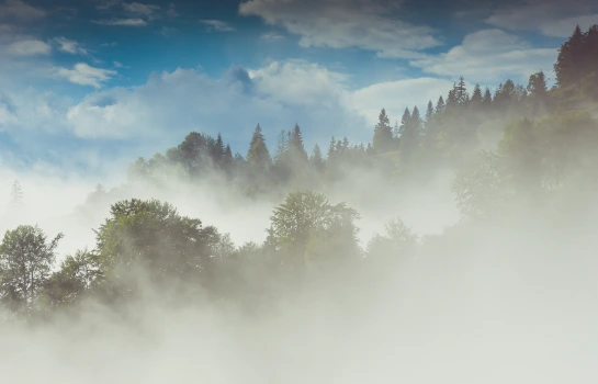 Mythbuster - Five common misconceptions about job architecture