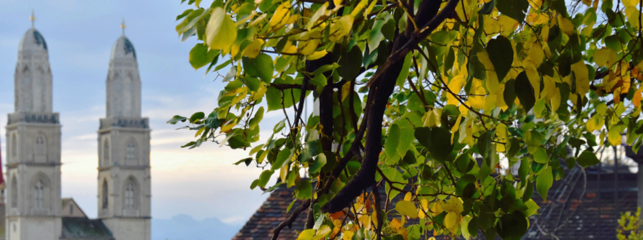 Aktienbasierte Vergütung für Start-ups