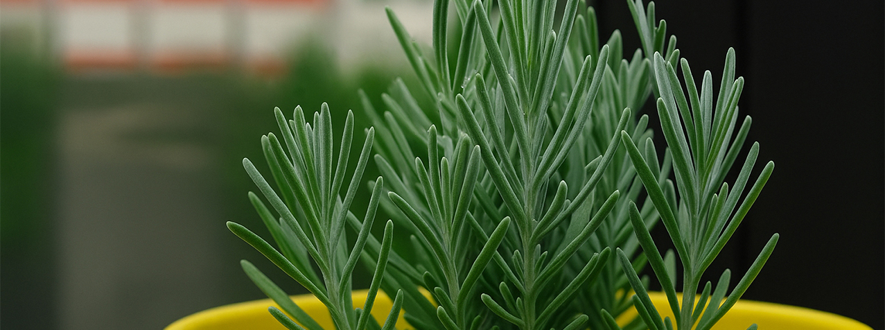 Environmental, Social and Governance (ESG) in Long-Term Incentive Plans