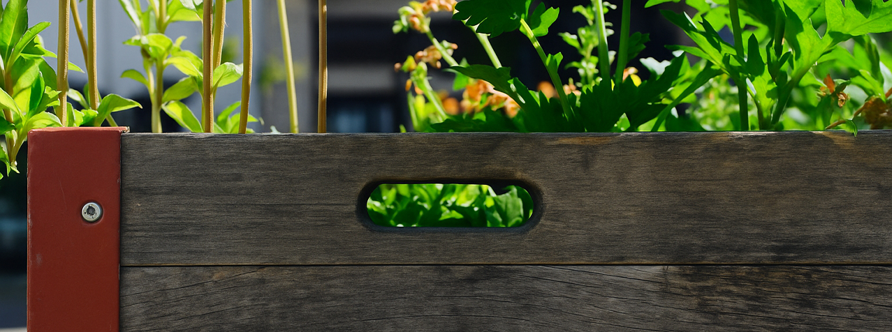 Erfolg teilen oder Anreize setzen?