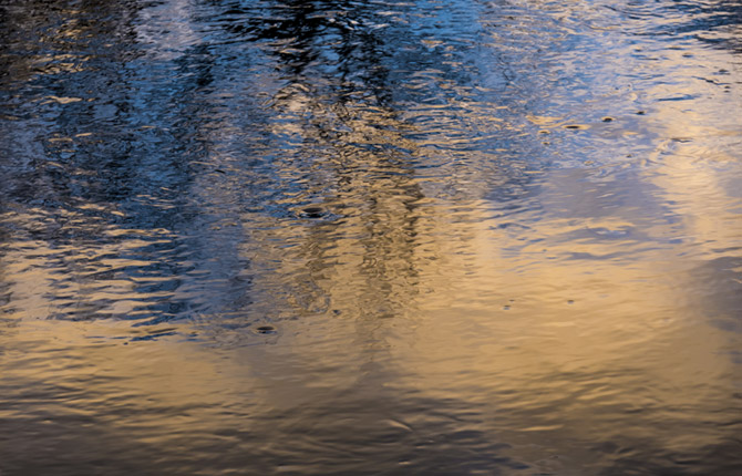 ESG beyond box-ticking: Four action points for decision makers