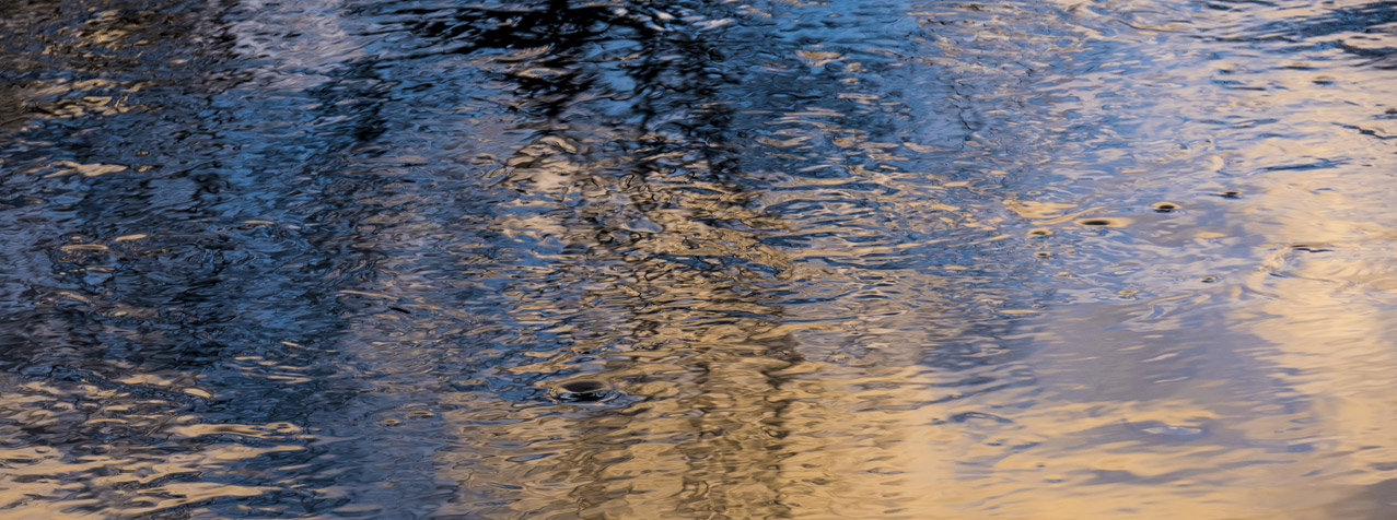 ESG beyond box-ticking: Four action points for decision makers