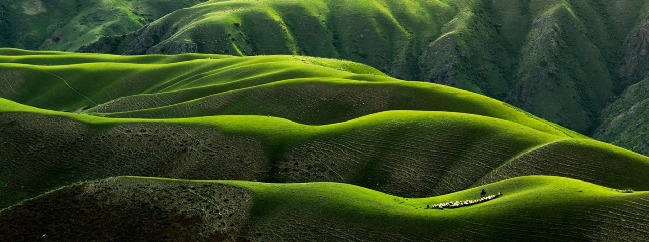 Getting Ready for Sustainability Reporting in Switzerland: Which Standard to use?