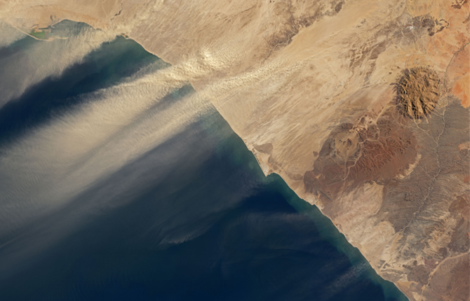 How to back climate action and reporting with appropriate governance and incentives?