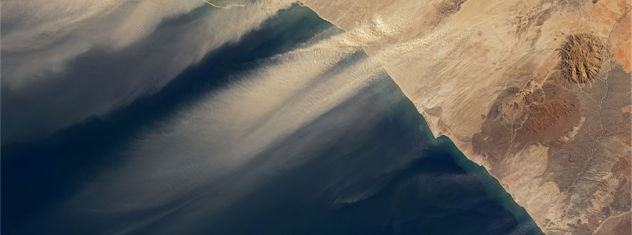 How to back climate action and reporting with appropriate governance and incentives?