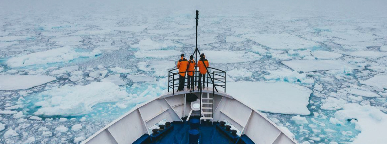 The art of vesting curve calibration: Interplay of aspiration and riskiness