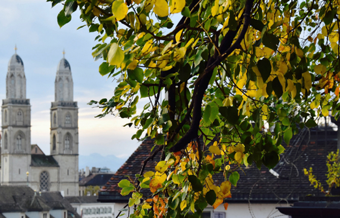 Aktienbasierte Vergütung für Start-ups