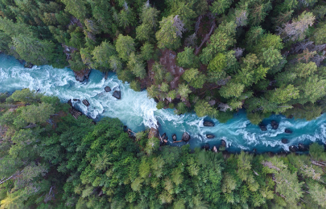 Navigating the Future: Challenges and Success Factors of Tomorrow’s Board  